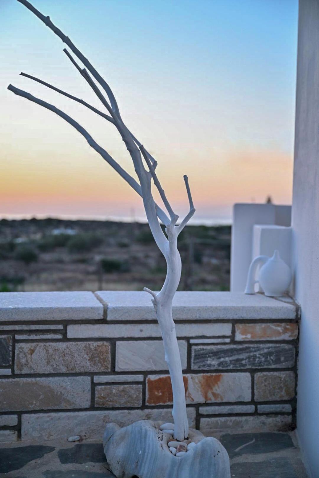 ‘Sophie’s Villa’ Akrotiri  Extérieur photo