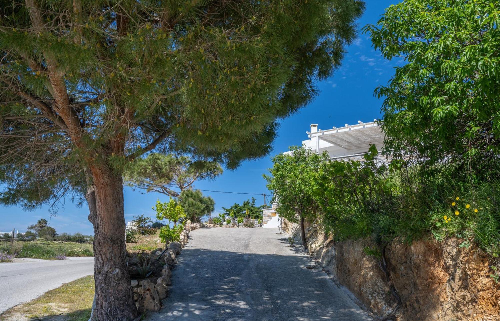 ‘Sophie’s Villa’ Akrotiri  Extérieur photo